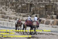 44782 08 017 Pyramiden von Gizeh, Weisse Wueste, Aegypten 2022.jpg